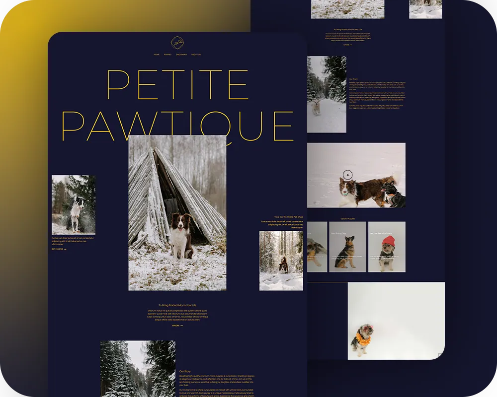 GS Ghalib's Portfolio - Petite Pawtique
